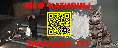 индика Можга