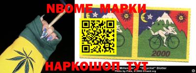 индика Можга
