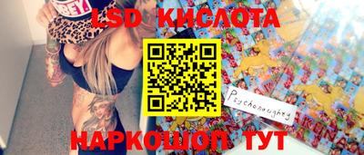 индика Можга