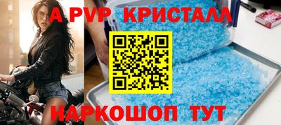 индика Можга